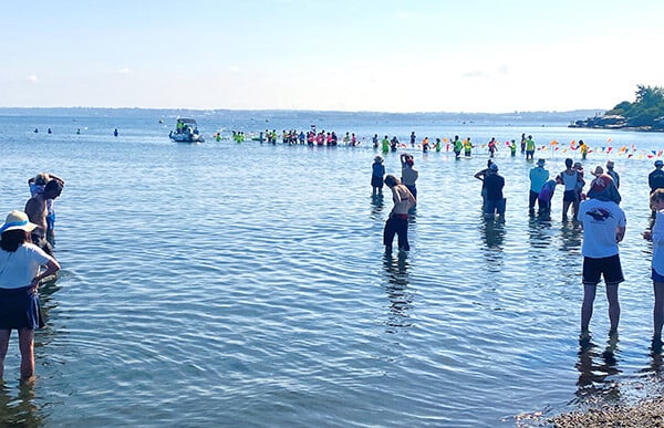 Save the Bay Swim