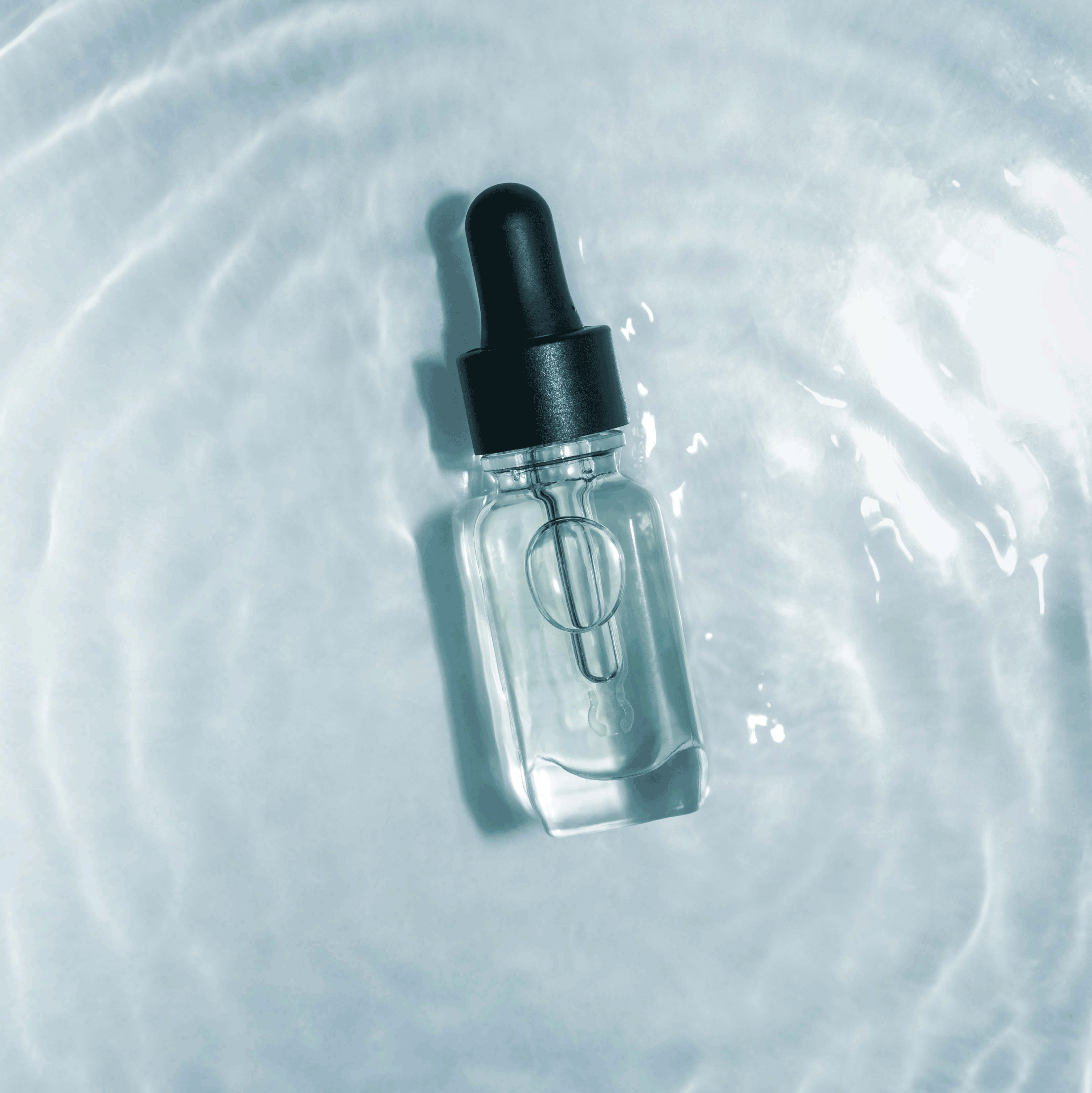 shutterstock_2102601499